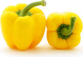 Großpackung (kg) - frischer gelber Paprika BIO (polnisch) (ca. 5 kg)